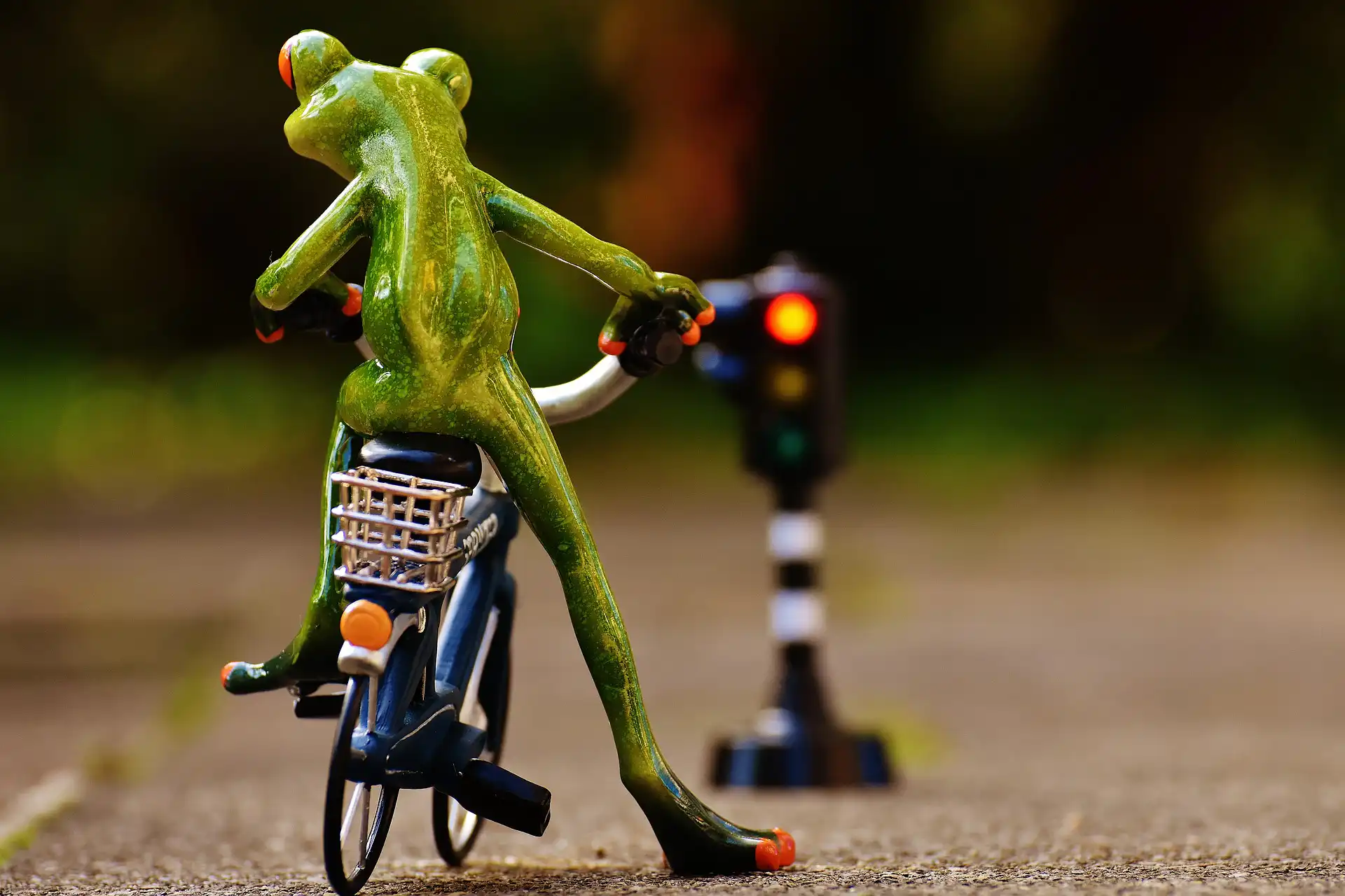 自転車生活を安全に!5つの交通ルールで事故を防ごう!